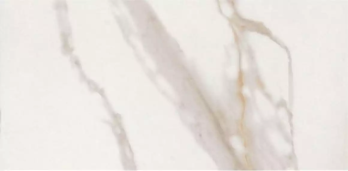 CALACATTA GOLD LAP RET 120x278