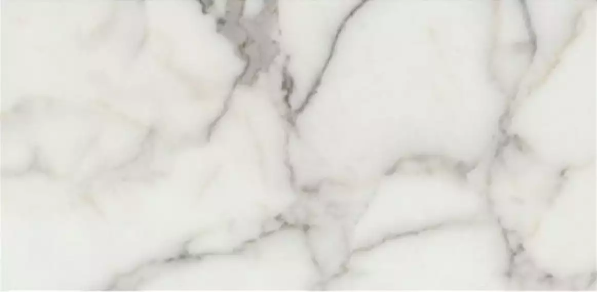 CALACATTA Lap Rett 120x278