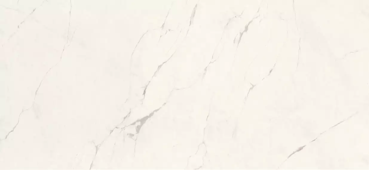 CALACATTA SC.VN.BLU.TCH 260x120