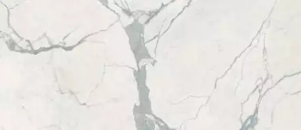 CALACATTA SLC.NBL.STS.LG 278x120