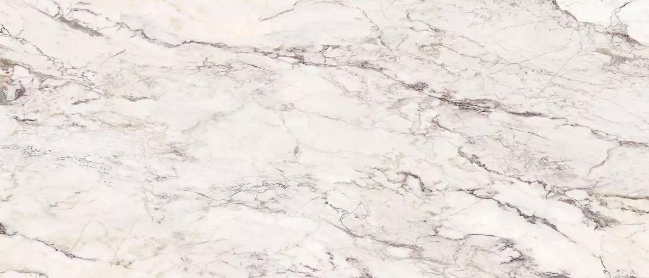 CALACATTA SLF.AVA.BRCP.LC 280x120