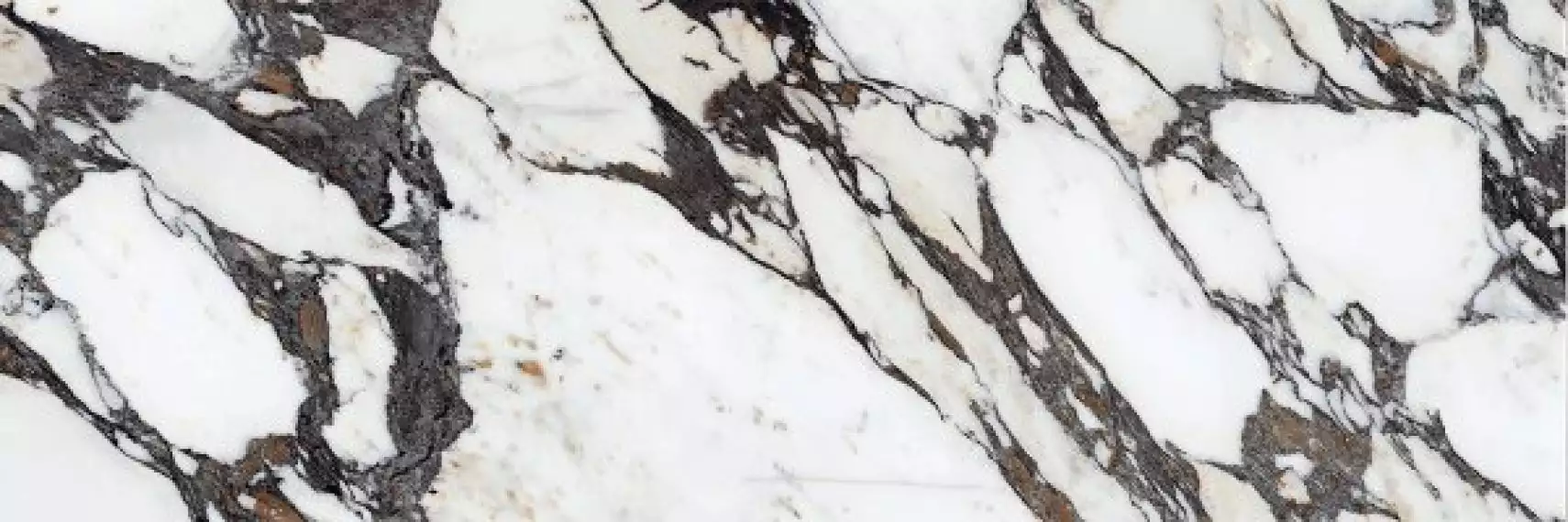 CALACATTA SUPRIME Polished 240x80