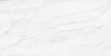 CALCATTA LIGHT 60x120