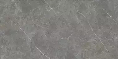 CAN5BERIDXAA Керамогранит Firenze Gris Rect 60x120