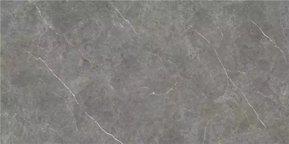 CAN5BERIDXAA Керамогранит Firenze Gris Rect 60x120