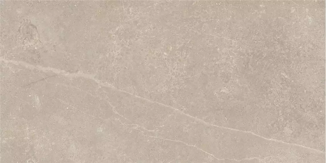 CAN5MONLBDAA P.E. MONOLITH BEIGE MT RECT 60X120
