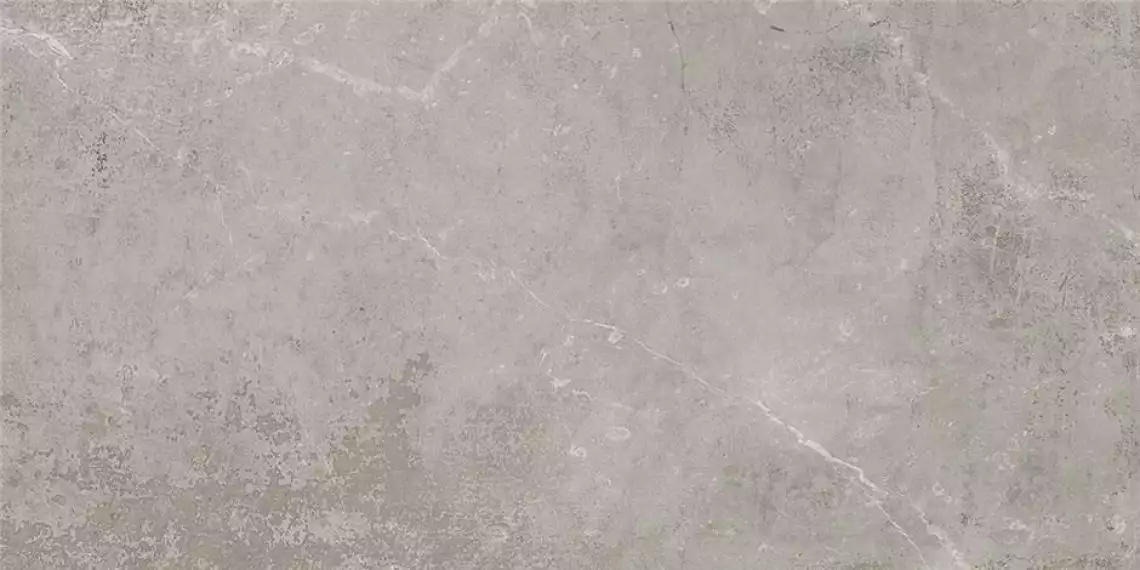 CAN5MONLDDAA P.E. MONOLITH GREY MT RECT 60X120