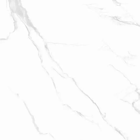 CARRARA Classic Grey Polished 60x60
