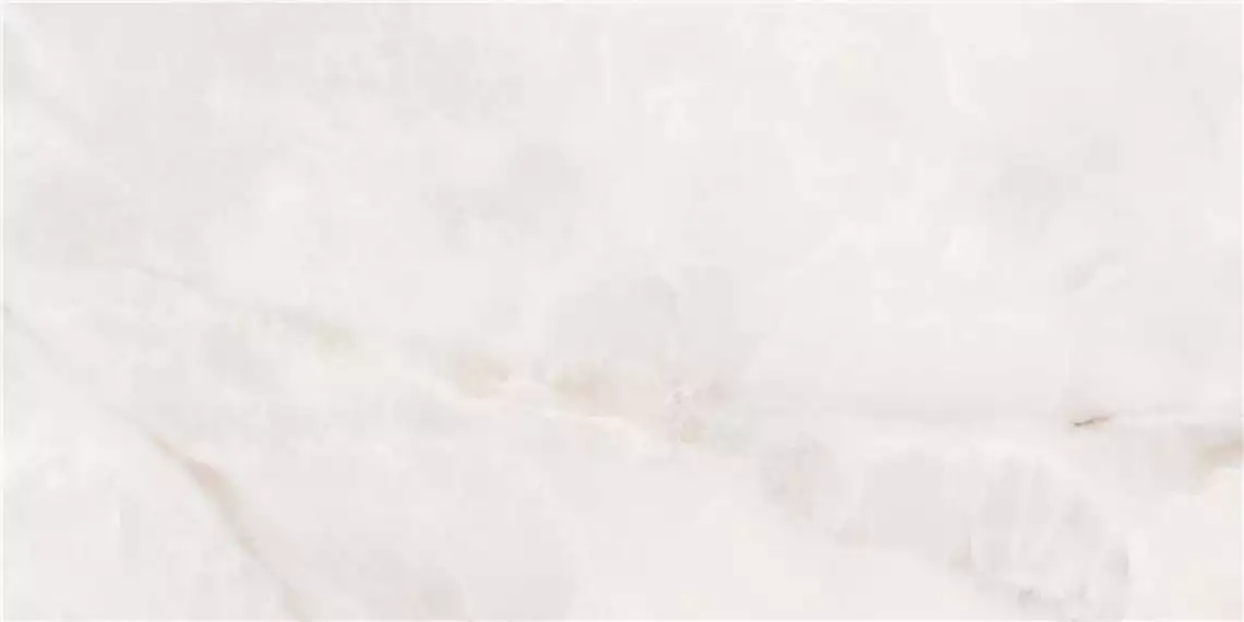 CAS1ORIOCPPA Керамогранит Orion White Pul Rect 60x120