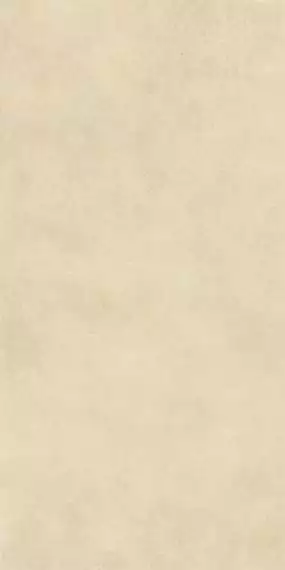 CC0L02M01 Керамогранит Contract Pro Beige 60х120