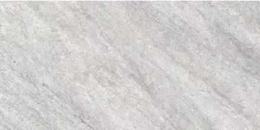 CDB00014859 Кварцит 7 светло-серый 60x30