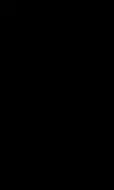 CL08 Черная 20x33