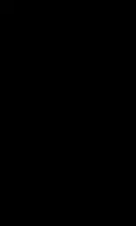 CL08 Черная 20x33