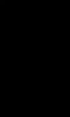 CL08 Черная 20x33