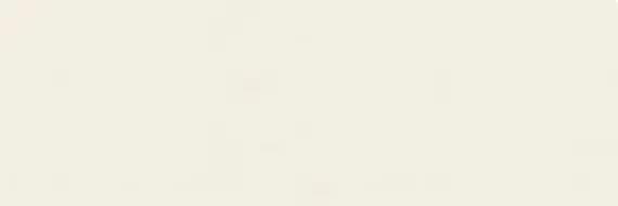 COLOR CC.BW.SWH.SM 300x100