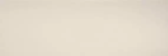 COLOR CL.CL.NV.NT 300x100