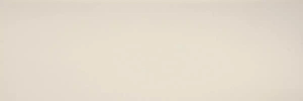 COLOR CL.CL.NV.NT 300x100