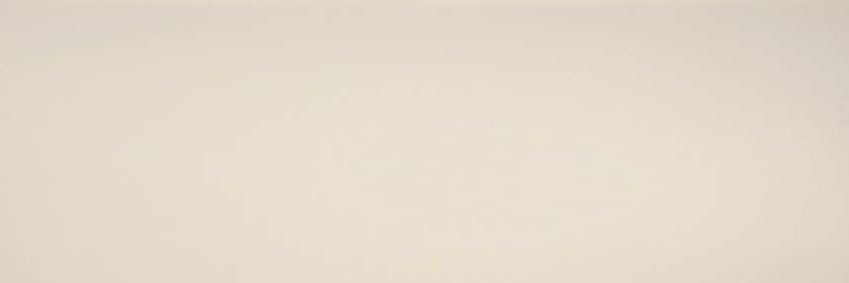 COLOR CL.CL.NV.NT 300x100