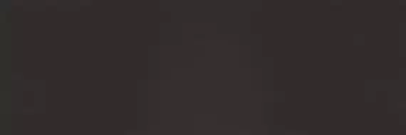 COLOR CL.SL.NR.NT RU 300x100