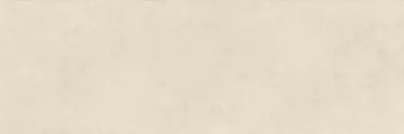 COLOR CLC.PGM.CHL.SL 300x100