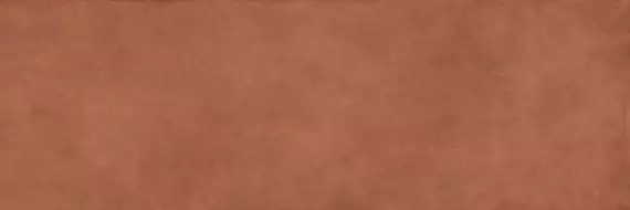 COLOR CLC.PGM.CNN.NT 300x100