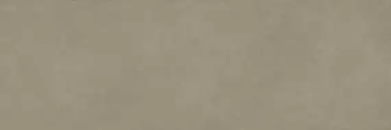 COLOR CLC.PGM.LCH.NT 300x100