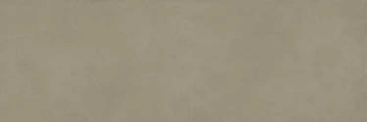 COLOR CLC.PGM.LCH.NT 300x100