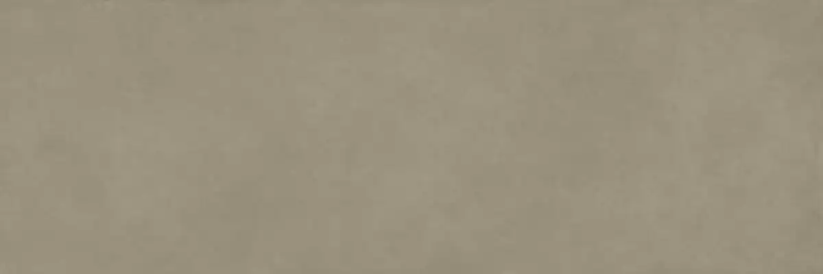 COLOR CLC.PGM.LCH.NT 300x100