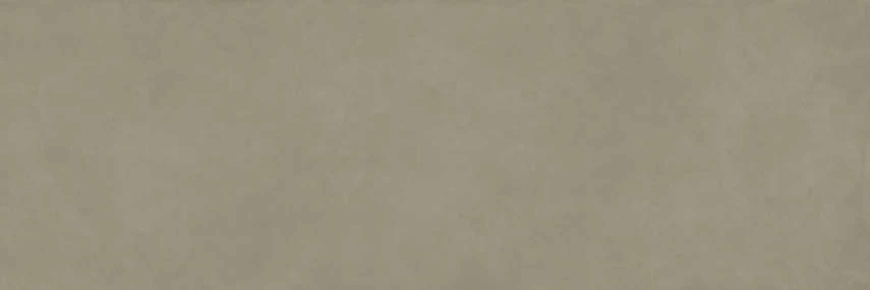 COLOR CLC.PGM.LCH.NT 300x100