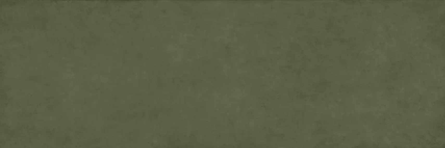 COLOR CLC.PGM.MSS.NT 300x100