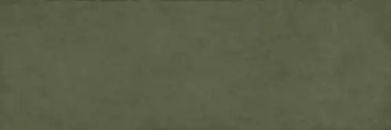 COLOR CLC.PGM.MSS.SL 300x100