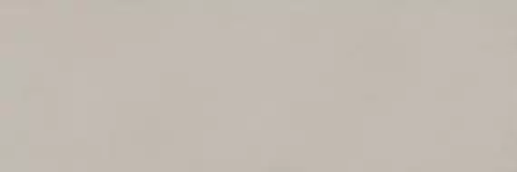 COLOR CLC.PGM.MST.SL 300x100