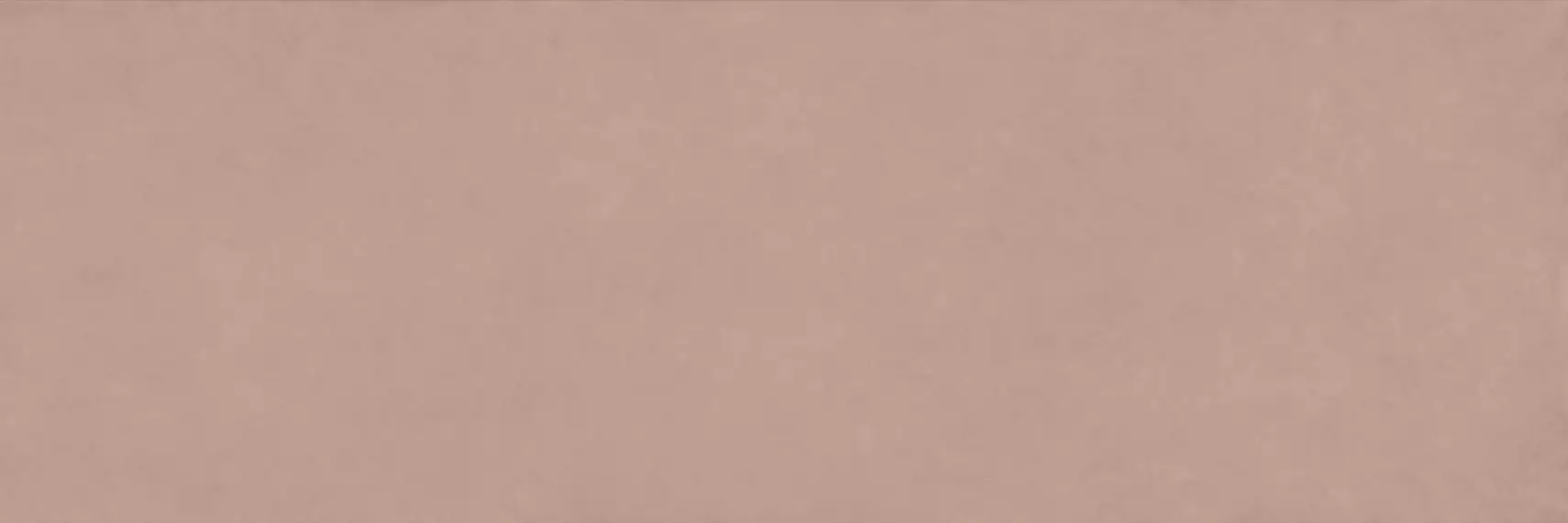 COLOR CLC.PGM.MVE.SL 300x100