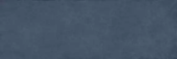 COLOR CLC.PGM.OCN.NT 300x100