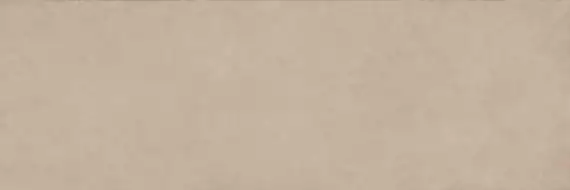 COLOR CLC.PGM.PLT.NT 300x100