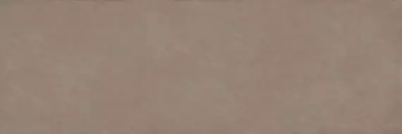 COLOR CLC.PGM.PMC.SL 300x100