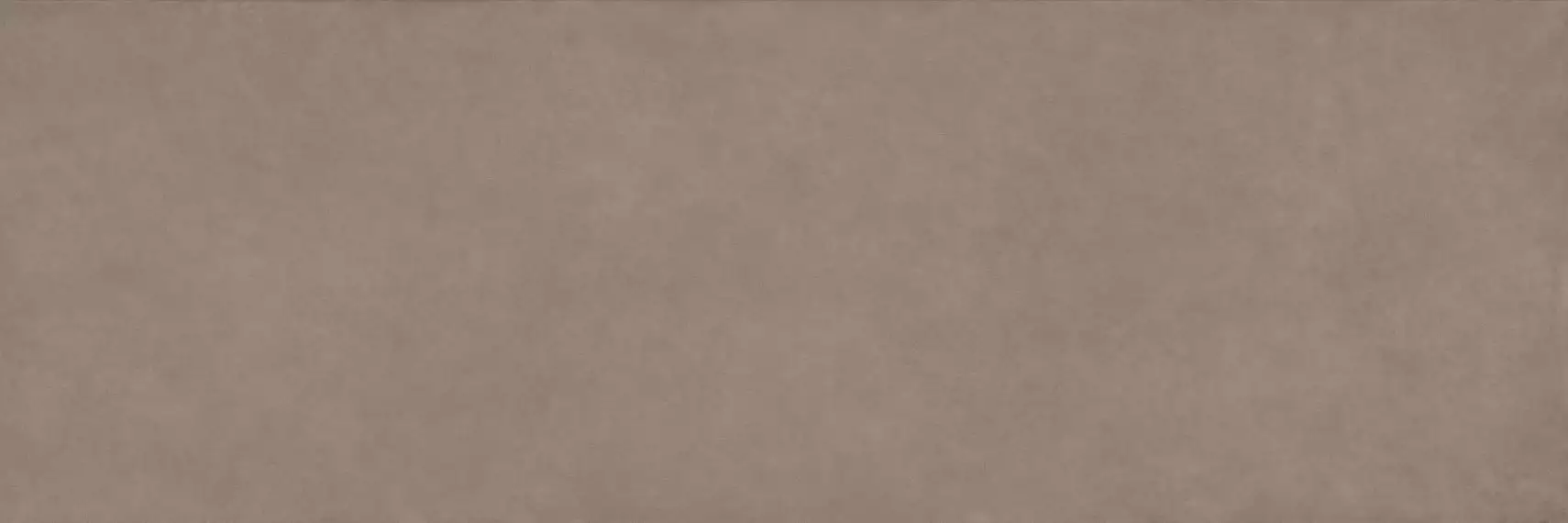 COLOR CLC.PGM.PMC.SL 300x100
