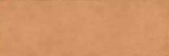 COLOR CLC.PGM.SNS.NT 300x100