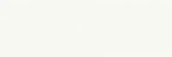 COLOR CP.MS.WH.NT 300x100