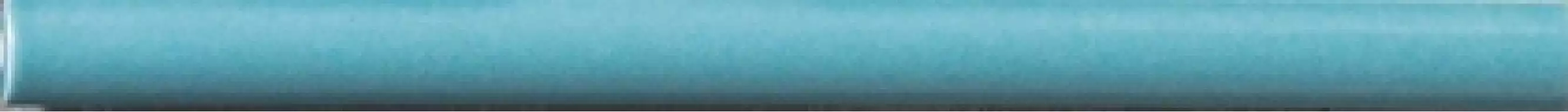 COP099 Coprispigolo Pavone Matt 1.2x20