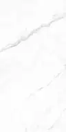 CP4003-A Керамогранит Coralina White Carving Pro 60x120