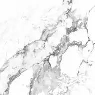 CR4006-A Керамогранит Borghini Silver Carving 60x60