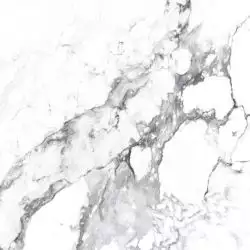 CR4006-A Керамогранит Borghini Silver Carving 60x60