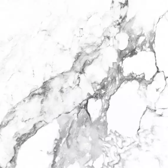 CR4006-A Керамогранит Borghini Silver Carving 60x60