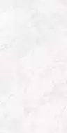 CR4007-A Керамогранит Arctic White Carving 60x120
