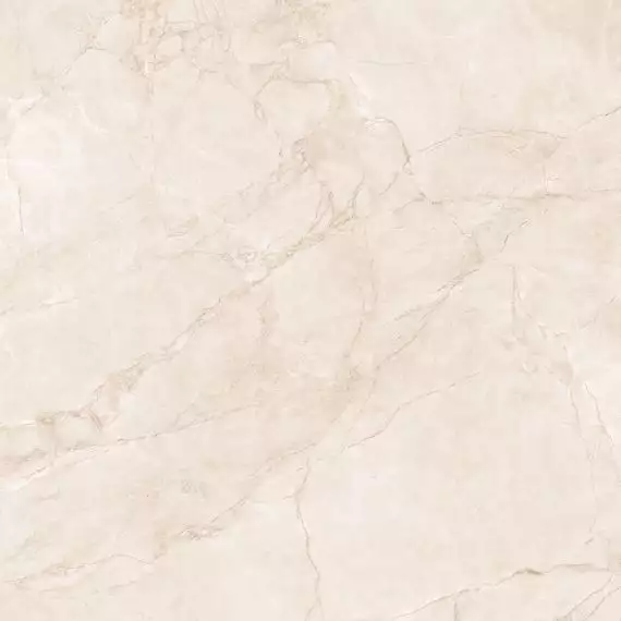 CR6007-A Керамогранит Arctic Pearl Carving 60x60