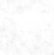 CR6NTT9901M Carrara Bianco 60x60