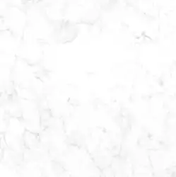 CR6NTT9901M Carrara Bianco 60x60