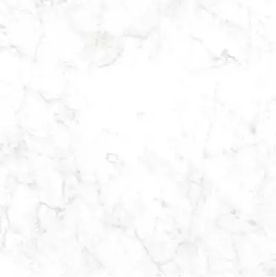 CR6NTT9901M Carrara Bianco 60x60