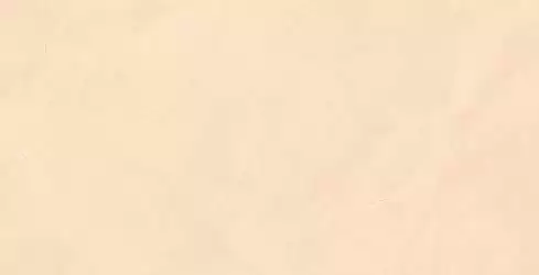CRAFT BRONZE ARMANI BEIGE CARVING 60x120